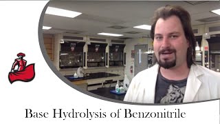 Base Hydrolysis of Benzonitrile