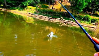 I thought I was going to get KICKED while BASS FISHING in Northern VIRGINIA