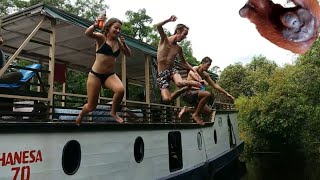 Fun trips with friends goes #tanjung_puting_national_park #houseboattour #orangutankalimantan