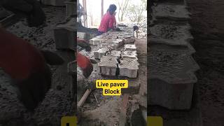 Live Paver Block Making Process. #paverblockmakingmachine