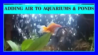 Episode 23 - Do You Have Enough Air In Your Aquarium? Bubbles or Waterfalls are Important!