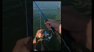 Fishing From Your BOTE Board