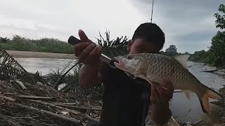 mancing hampala tepat di sarang nya