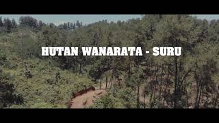 Hutan Wanarata - Suru