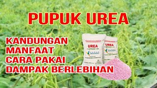 PUPUK UREA KANDUNGAN MANFAAT CARA PAKAI