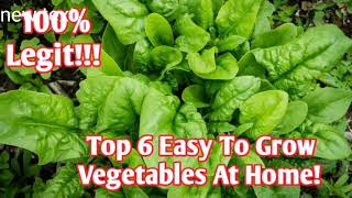 Top 6 Easy To Grow Vegetables At Home II Teacher Ryan Gallardo