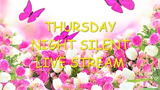 THUSRDAY NIGHT SILENT LIVE STREAM