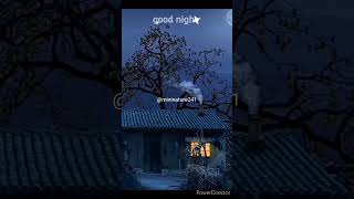 Beautiful night view l Beautiful night video l night view with moon l#shorts#night#moon