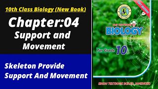 Skeleton provide support and movement | Biology class 10 chapter 4| Class 10 new biology