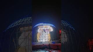 Santosh Mitra Square Durga Puja 2024 #travel #durgapuja