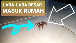 LABA-LABA BESAR MASUK RUMAH