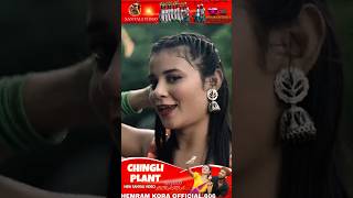 CHINGLI PLANT #santali_short_video2024 #santali_status_2024 #new_santali_status_video