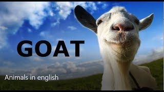 Animales en inglés (Método muy fácil)