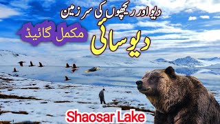 Roof of the World | Deosai Plains Pakistan in Winter | Sheosar Lake in Winter