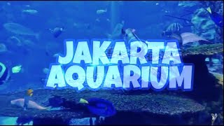 INI DI JAKARTA | AQUARIUMNYA GEDE BANGEEEETT !