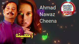 Mede Dil Toon l Ahmad Nawaz Cheena l Saraiki l Punjabi l 2024 l Danish Music Production