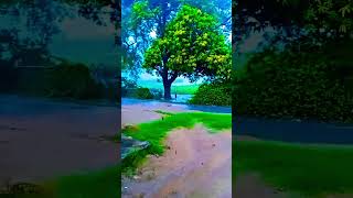 #video #barsat# ho rahi# hai barsat# hone de#video #