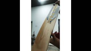 Punch of cricket bat