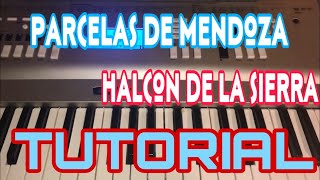 Las Parcelas de Mendoza - El Halcon de la Sierra (Melodia Tutorial en Teclado)