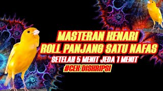 Masteran kenari ROLL PANJANG satu nafas JEDA 1 MENIT untuk Murai Batu, Cendet, Cucak ijo