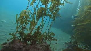 Anacapa Island