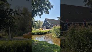 Exploring the charming windmills of Zaanse Schans, a perfect blend of history and beauty.