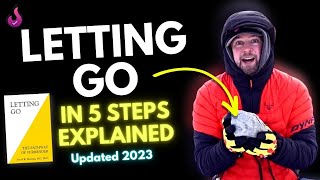 Letting Go Explained (with rocks! :) - Updated 2023 - David Hawkins