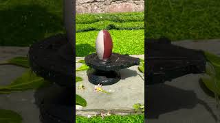 3 inch Narmadeshwar shivaling with 6 inch Damru Jalahri #narmadeshwarshivling #narmda