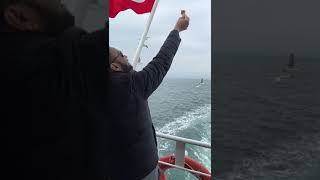 istanbul #Bosphorus cruise and seagulls catch food