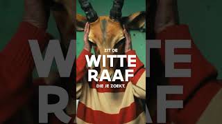 VDAB - Witte raaf: Antilope 6s