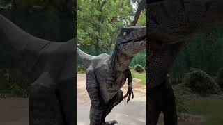 Chandigarh Zoo #shorts #chandigarhzoo #chhatbirzoo #zoo #dinosaurpark #monsterkd