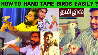 கிளி மற்றும் பறவைகளை  பழக்குவது எப்படி ? | HOW TO HAND TAME BIRDS ?  |  COCKATIEL |  LOVE BIRDS, etc