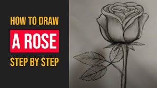 How To Draw A Rose Flower Easily Step By Step | Sketch A Rose With Pencil For Beginners