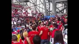 NEW FOOTAGE | Hungarian fans vs. Stewards 18/06/2016 {Hungary vs. Iceland}