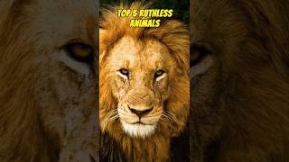 Top 5 Ruthless Animals #shorts #dangerousanimals #lions