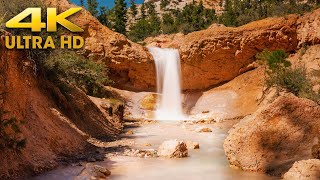 Waterfall in Bryce Canyon National Park Utah | Mossy Cave 4K Hike