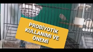 KUŞLARDA PROBİYOTİK KULLANIMI VE ÖNEMİ