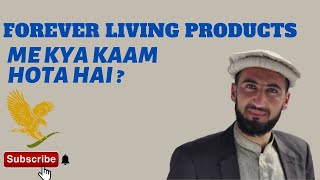 Forever Living Products Me Kya Kaam Hota Hai? || Forever Living Products Complete Process #pashto||