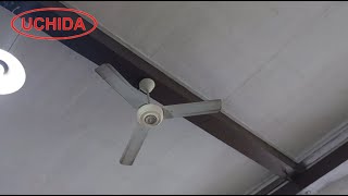 48" Uchida Century Ceiling Fan