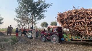 3 tractor 2 Alghazi And 1 Massey Heavy load Suggrance trolly