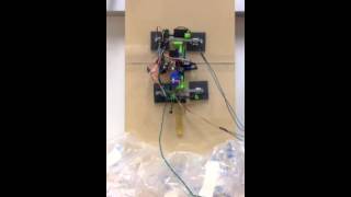 Gecko Adhesive Climbing Robot (ACROBOT)