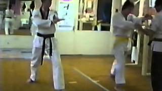 White to green belt Part 1 in Taekwondo