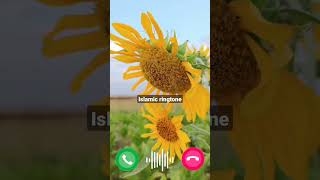 Top Ringtone Islamic। Allah Hu Allah..