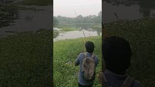 😳Snakehead fishing 🎣🔥#fishinglife #shorts