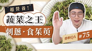 【蔬菜之王！刺蔥】原來是遍插茱萸少一人的茱萸｜在香料界也是王者之一的刺蔥｜如果你吃素可不能不認識｜香料老司機 Rex #香料QA #75