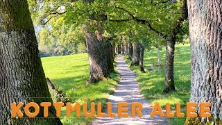 Kottmüller Allee (4K) #murnau #blaues land #kottmüller allee