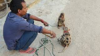 Monkey charmer aka Madari came with 2 monkey to entertain people, amid Corona virus Lockdown