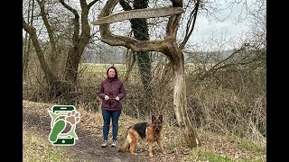 Wandelroute Wolvenspoor te Schoonloo (Drenthe)