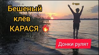 Старая добрая рыбалка на донки. Днепр снова радует)