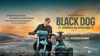 BLACK DOG - WEGGEFÄHRTEN  | offizieller Trailer | ab 12. Dezember im Kino